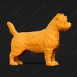 3086-Cairn_Terrier_Pose_02.jpg Cairn Terrier Dog 3D Print Model Pose 02