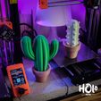 DSCF5002.jpg 3D file Cute Cactus Home Decor - Print in Place・Model to download and 3D print