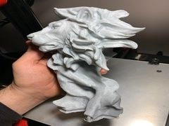 large_preview_IMG_1621.jpg león