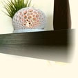 Untitled design.png Voronoi lamp
