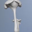 2023-04-21-10_31_56-ZBrush.jpg naturalist sculpture mushrooms girolle