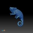 3DPrint3.jpg Panther Chameleon (Furcifer pardalis Sambava) STL 3D Print Model with Full-Size Texture High Polygon