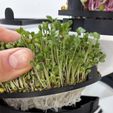 IMG_5601.jpeg Modular Microgreens Tower - Nature-Inspired 3D-Printed Vertical Growing System