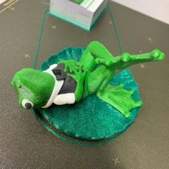 Froggy-1.jpg Archivo STL gratis Sr. J Pond: Froggy on a Lilypad・Modelo para descargar y imprimir en 3D, loubie