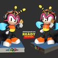2side.jpg Charmy Bee wins gold medal at Olympics