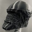 z5331065779897_6a1d77f96004ba3fe1c7dcc6e4109064.jpg Alien Xenomorph Mask - Halloween Cosplay