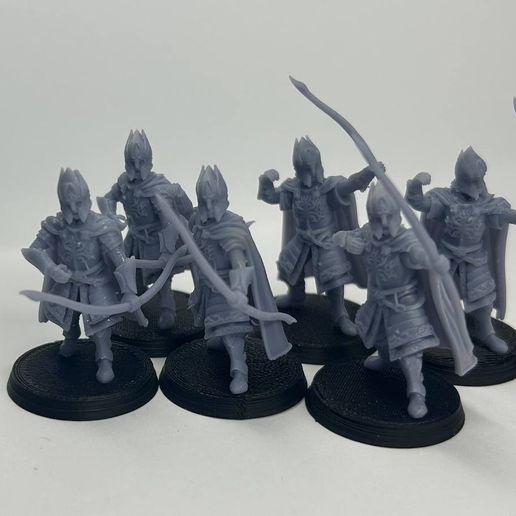 photo_2024-06-18_00-16-37.jpg Citadel Guard of Guard Tower (Spearman and Swordman)