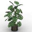 houseplant-in-a-pot-3d-model-low-poly-rigged-obj-3ds-gsm.jpg Houseplant in a pot