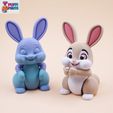 05.jpg Flexi rabbit
