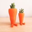 c01.jpg Archivo STL gratis Cute Carrot Shaped Suculent planter・Modelo para descargar y imprimir en 3D