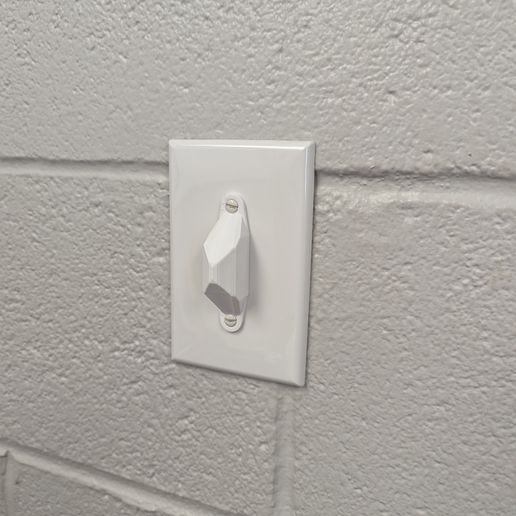 PXL_20240416_200213215.jpg Light Switch Guard Lock Full Cover and Minimal