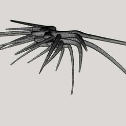 Shadow_Model.jpg Vaisseau fantôme de Babylon 5