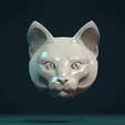 CH_01.png Cat Head