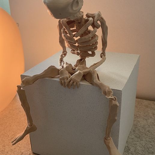 💀 FLEXI ARTICULATED SKELETON GECKO・ 3D File for 3D printing・Cults