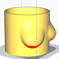 Foto-2-maceta-tetas.png STL file Pot boobs・Model to download and 3D print