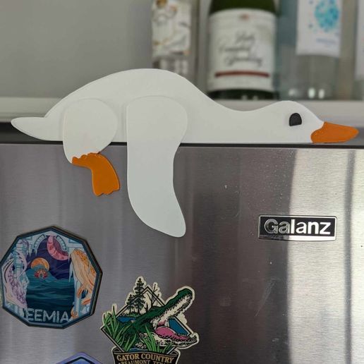 448622080_443251378510988_1493940981124346367_n.jpg Ducky OR Goose hanging around!