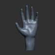 1.jpg Rigging Hand model, rigging hand model