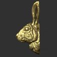 20.jpg Hare head
