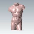 David-Tors.jpg David Statue, David Sculpture, Man`s torso, Naked Art Statue