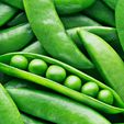 Peas.jpg Green Triple Pea Pod Storage Containers