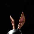 DSC01636.jpg Rabbit Ear Tiara