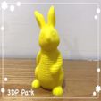 4.jpg Springy Rabbit (2)