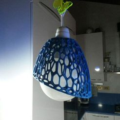 received_10211913871110263.jpeg Voronoi lamp