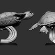 02.jpg Tortue