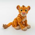 6.jpg Flexi Simba