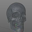 Clipboard01.jpg Another Skull