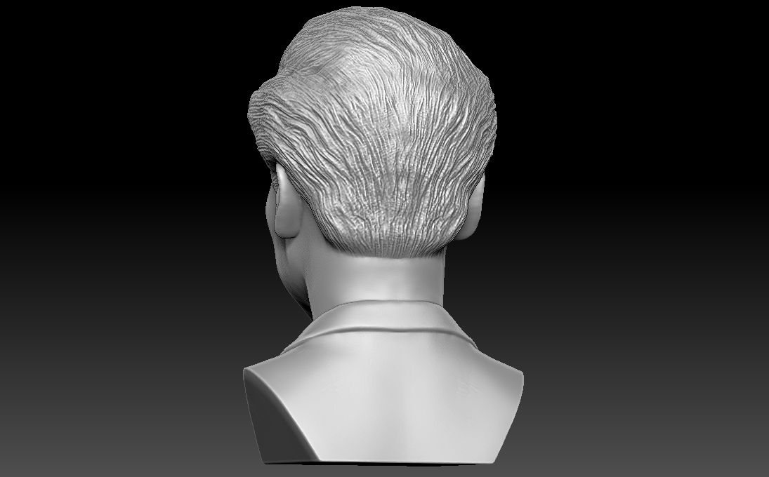 6.jpg Télécharger fichier Impression 3D du buste d'Harry Styles aux formats stl obj prêts à l'emploi • Design pour impression 3D, PrintedReality