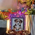 WhatsApp-Image-2025-09-16-at-10.52.17-PM.jpeg Pet Altar (Puppies)