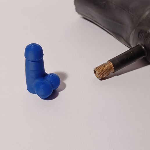 Penis valve plug (schrader valve)