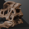 tyrannolophosaur-skull-jurassic-world-alive-model-3d-print-3.png tyrannolophosaur skull jurassic world alive model 3d print