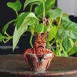 2.jpg STL file Mandrake Plant - Harry Potter・3D printer model to download