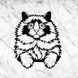 jnkjk.jpg ragdoll CAT CAT WALL DECORATION WALL HOUSE PET MASCOT CAT DECO WALL DECORATION
