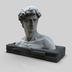 untitled.267.png DAVID BUST