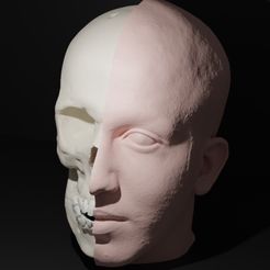 WhatsApp-Image-2021-06-13-at-12.55.09.jpeg Fichier STL Crâne et visage・Idée pour impression 3D à télécharger