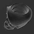 CraneoBoina3.jpg Skull Skull Skull Cranium Beret - Military - Matte/Potted