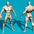 muscular-male-anatomy-figure-3d-model-13cbd3fcb3.jpg Muscular Male Anatomy Figurine