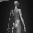 Female-Human-Skeleton-3D-Model-sculpted-by-Yacine-BRINIS-018.jpg Highly Detailed Human Skeleton (Female)