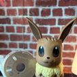 IMG_20230519_103807_925.jpg pokemon / eevee divided into colors