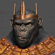 09.jpg Kingdom of The Planet of The Apes Bust