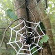 IMG_20211017_153734.jpg STL file Halloween Spider・3D printable model to download