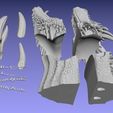 Drogon_08.jpg Drogon Dragon Game Of Thrones Fan Art Inspired 3D print model
