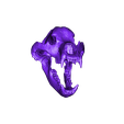 Cave Bear(1).stl Cave Bear skull - Ursus spelaeus