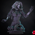 280223-B3DSERK-Black-Canary-Bust-Swap-Image-004.png B3DSERK February term 2023: Black Canary Bust 1/4 ready for printing