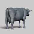 R05.jpg dairy cow pose 02