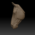 Horse-2.png Horse Head