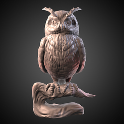 1.png Owl